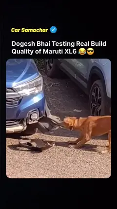 Watch DogeshBhai Testing Build Quality Of Car 🐶 It's Hunting Time 🤫 ...