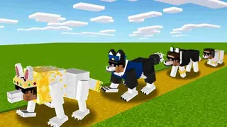 Watch From to Birth to Death as a Dog in Minecraft 😬 on Rooter by ...
