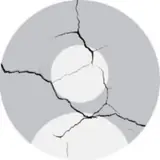 Rooter