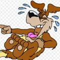 Rooter